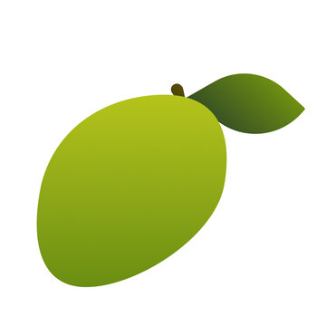 illustration of a green mango on white background