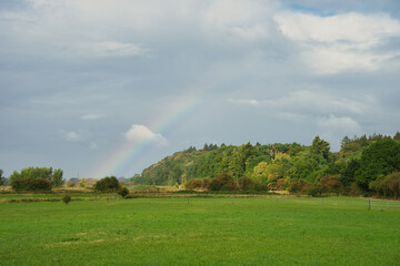 Fototapeta premium Vivid Rainbow Emerging Over Green Meadow and Forested Hillside Near Renkum