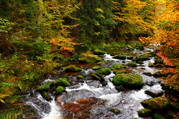 Fototapeta premium River. An autumn river landscape in the forest of the Karkonosze National Park in Poland, Europe.
