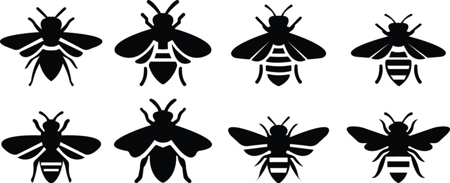 bee silhouette icon set. Bumblebee pictogram. Honey bee vector, Honeycomb hive symbol. Insect sign. t artistic treatments, including line, black silhouette, and classic schemes, designs and projects