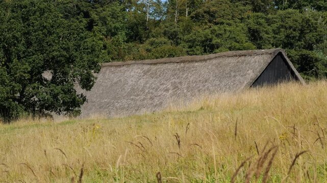 Viking age longhouse with thatched roof in a meadow