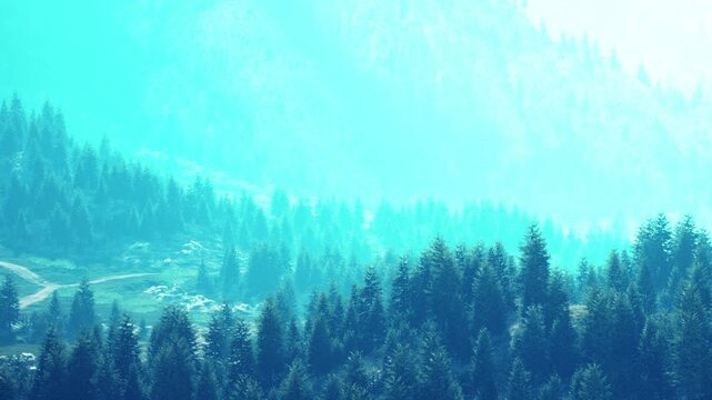 Tall trees cover the hilly landscape. Peaks rise in the background. The scene shows a bright day with a slight haze around the mountains.