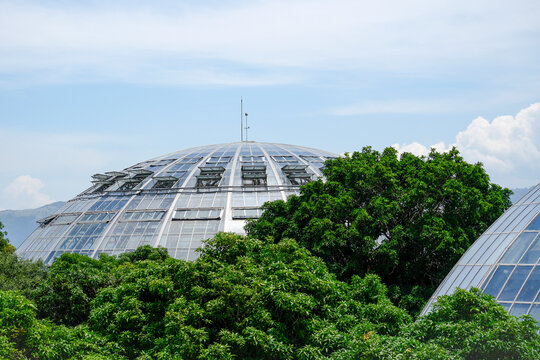 A large dome structure made of glass is seen in the middle of lots of green trees. The sun is shining brightly in the afternoon sky with clouds