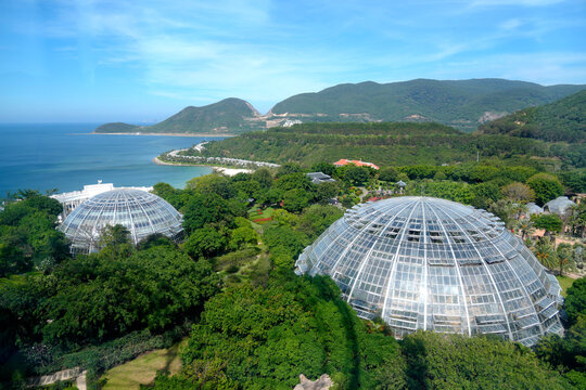 Two large greenhouses sit among trees and plants by the ocean. Mountains rise in the distance under a blue sky with few clouds