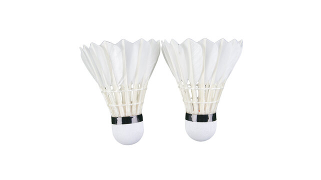 Two white feather shuttlecocks for badminton sport with badminton shuttlecock badminton birdie sports equipment badminton gear game accessory badminton