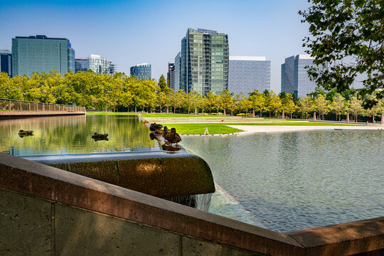 Bellevue Buildings And Park 2