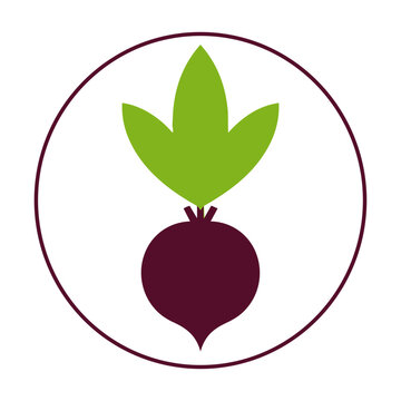 Minimalist beetroot icon with leaves inside a thin circular frame isolated on a white background healthy food concept