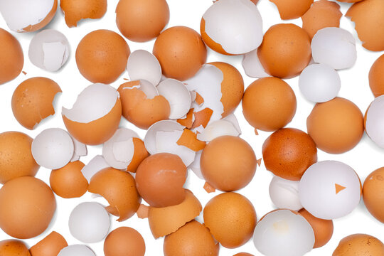 Full frame background of cracked brown chicken eggshell pieces scattered on white surface. Organic egg shell pattern texture for baking recipe and packaging.