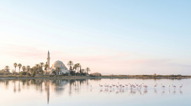 Hala Sultan Tekke mosque reflected in Larnaca Salt Lake with flamingos at dawn