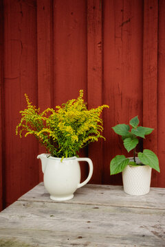 Summer flowers