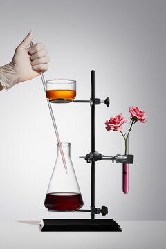 Lab experiment with flowers and liquids