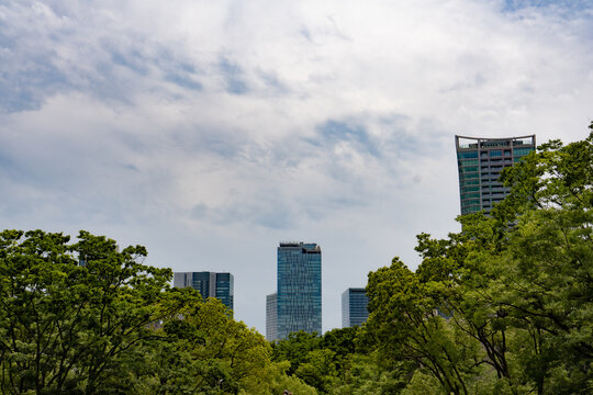 Park in Tokyo, Japan 