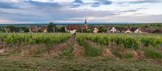 Vineyard rows stretch toward a quiet village. Clouds drift above rooftops and a church spire © Gennadi