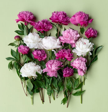 Peony meadow composition