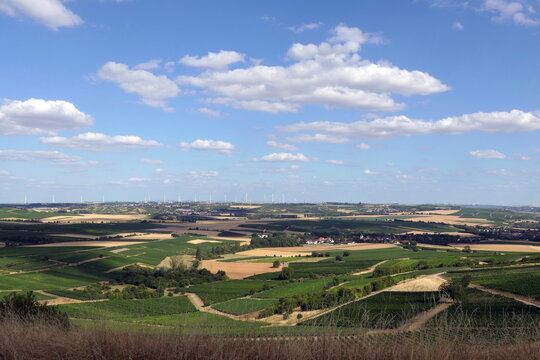 Aussicht am Wi&szlig;berg in Rheinhessen