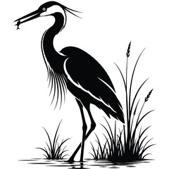 Naklejka premium Great blue heron silhouette with fish, elegant marsh bird vector illustration, black and white crane standing in wetland reeds isolated on White Background eps vector