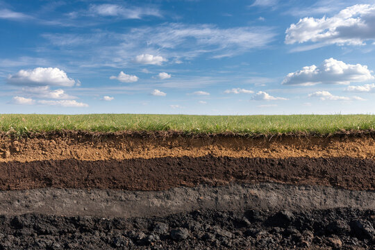 Cross section of earth showing soil layers, humus, and grass under a bright blue sky. Educational concept for geology, agriculture, and environmental science displays.