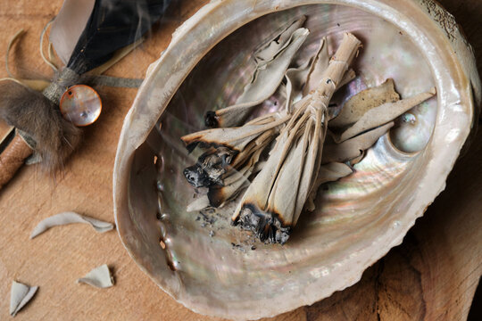 Top View of White Sage Leaves Smoldering in Abalone Shell with Feather