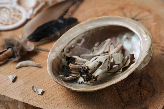 White Sage Leaves Smoldering in Abalone Shell with Feather