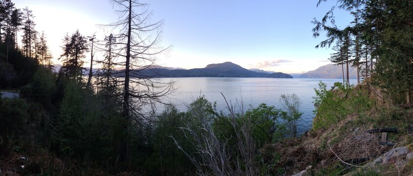 Bowen Island, hiking, flora. Horseshoes Bay, Bowen Bay. British Columbia, Canada.