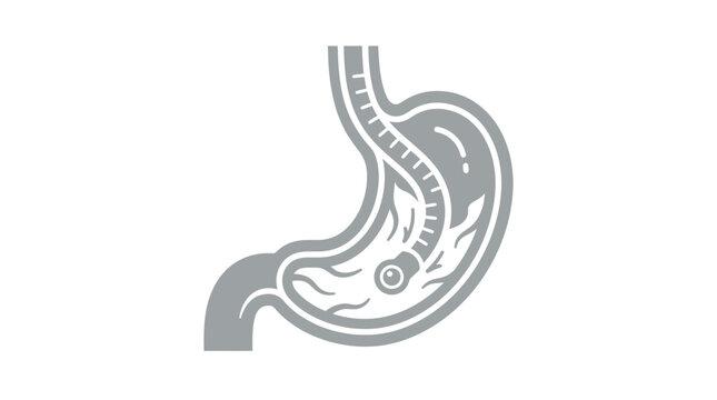 Gastroscope instrument inside human stomach illustration