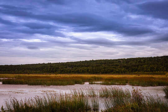 Anchorage Alaska summer woodland, marshland, dramatic cloudy landscape at dawn at Potter Marsh Wildlife Reserve Area