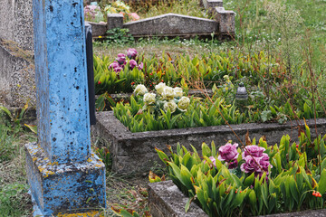Naklejka premium Flowers grow among old graves. Stone borders surround cemetery plots. Green plants cover memorial ground. Weathered structures mark historic burial place. Cemetery plants form remembrance background.