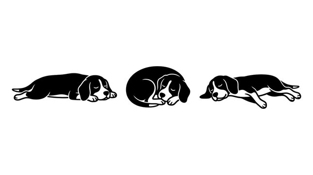 Resting and sleeping beagle dog vector set isolated on transparent background