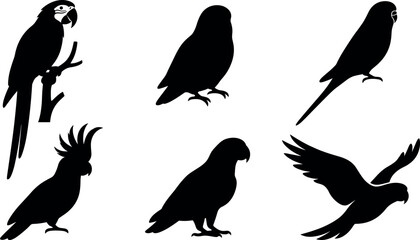 Fototapeta premium Exotic Parrot Silhouette Vector Icon Set Featuring Diverse Avian Species Including Macaw Cockatoo Budgie and Flying Birds for Tropical Nature and Pet Care Designs