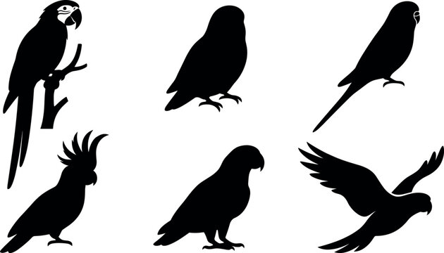 Exotic Parrot Silhouette Vector Icon Set Featuring Diverse Avian Species Including Macaw Cockatoo Budgie and Flying Birds for Tropical Nature and Pet Care Designs