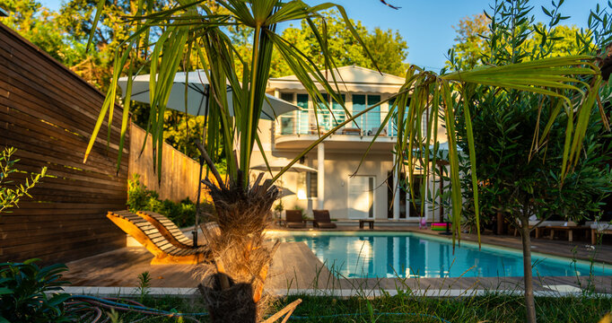 Modern villa with pool surrounded by lush greenery. Concept of luxury outdoor living and natural retreat