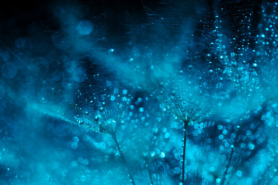 Extreme macro abstract close-up of cyan dandelion seeds with water drops for digital wallpaper, modern background design, and textile pattern texture
