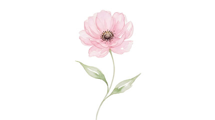 Fototapeta premium Pink watercolor flower illustration isolated on white background for wedding design