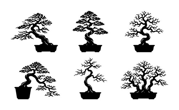 Set of Six Black Silhouette Bonsai Trees in Pots, Artistic Japanese Miniature Tree Vector Collection for Zen Garden and Nature Design