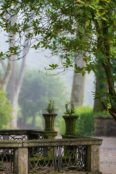 Nach der Hitze und dem regen kommt der Dunst im Nebel am Morgen im Waldpark Friedhof 