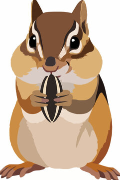 Cute chipmunk holding a sunflower seed vector illustration, adorable handdrawn rodent with striped fur and big eyes on white background, perfect for nature clipart