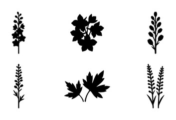 Obraz premium Botanical Silhouettes: Delicate Floral Sprigs and Maple Leaf Icons, Minimalist Vector Elements for Nature Designs