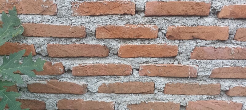Red brick wall texture background with visible cement jointing and green foliage border, ideal for masonry themes, rustic urban backdrops, architectural banners, and covers