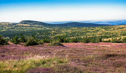 Panoramiczny krajobraz górski w Karkonoskim Parku Narodowym © Aleksandra