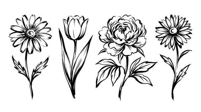 Black and white hand drawn floral outline collection set.