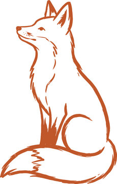 Hand Drawn Sitting Fox Line Art Illustration Design