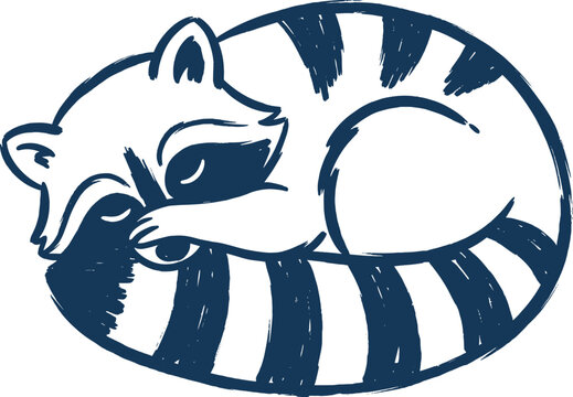 Hand Drawn Sleeping Raccoon Curled Up Illustration