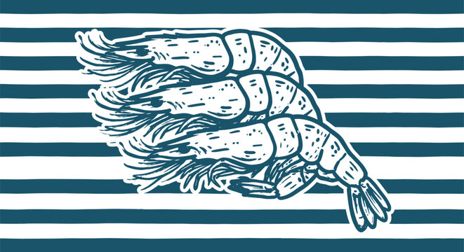 Shrimp Illustration On Nautical Striped Background Design