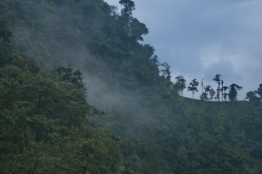 Clouds rolling into the valley and covering the jungle in Mindo, Ecuador
