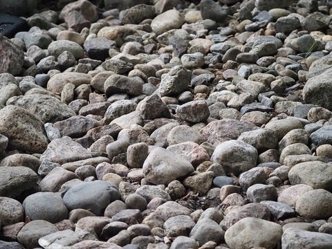 Rounded stones forming natural rocky texture