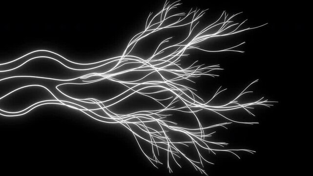 Glowing white curved light strands branching across deep black background with layered arcs, smooth flowing motion, high contrast, and luminous tips for modern abstract design