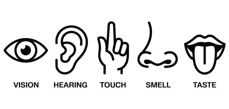 Five Senses Icons with Human Sense Organs and Sensory Perception Symbols for Sight, Hearing, Smell, Taste, and Touch