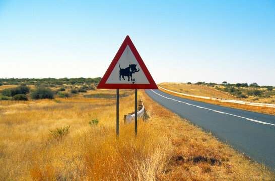 Roadside Warning signof warthogs on the Trans-Kalahari highway, Namibia
