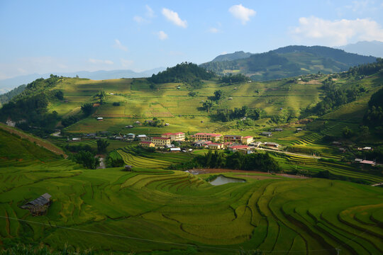 Aerial view of terraced rice fields, Mu Cang Chai, Yen Bai, Vietnam