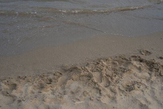 France, Valras Plage August 2026 &mdash; Sea wave flowing on sandy beach shoreline with footprints, wet sand background, summer travel vacation concept, texture macro, desktop wallpaper search background